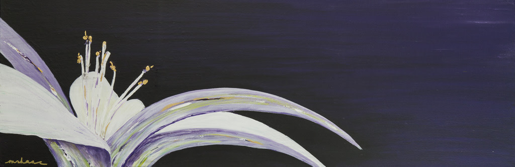 Dark Lily by M Shane 