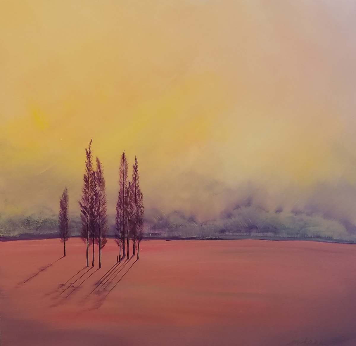 La Vista del Paradiso 