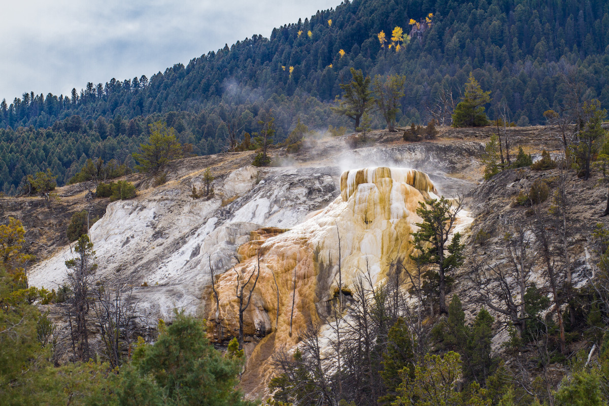Mammoth Hot Springs 2 by E Wand 