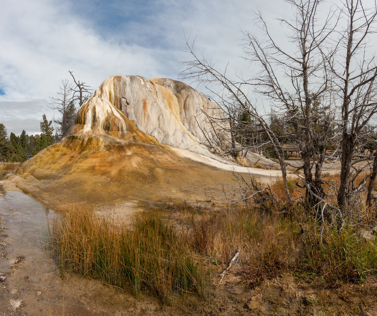 Mammoth Hot Springs 1 by E Wand 