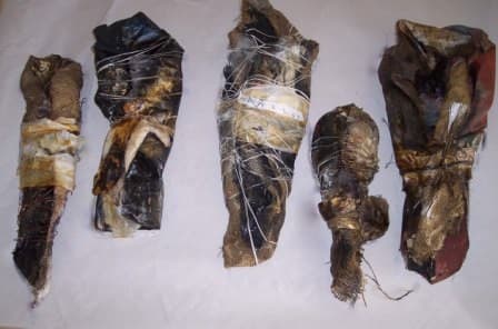 Eschatological Forms by Lyn Laver-Ahmat, Image 1.