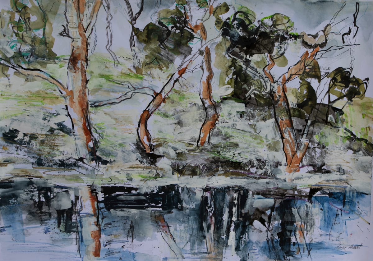 Hoods Lagoon, Clermont, QLD. by Lyn Laver-Ahmat  Image: I conducted a masterclass for Clermont artists in August, 23.  Its a beautiful spot, with many birds.