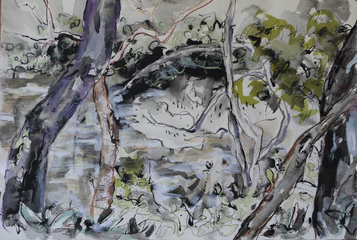 Elimbah Creek, Sunshine Coast by Lyn Laver-Ahmat 