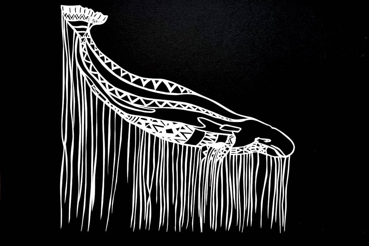 qilalugaq qaqortaq by Anja Studer 