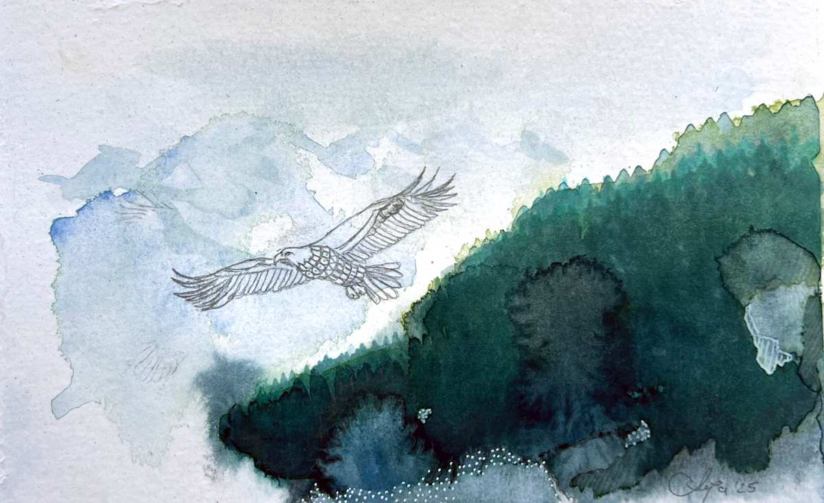freely alarmed by Anja Studer, Image 2.