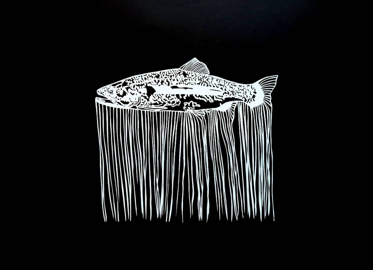 renewably terminated by Anja Studer, Image 2.