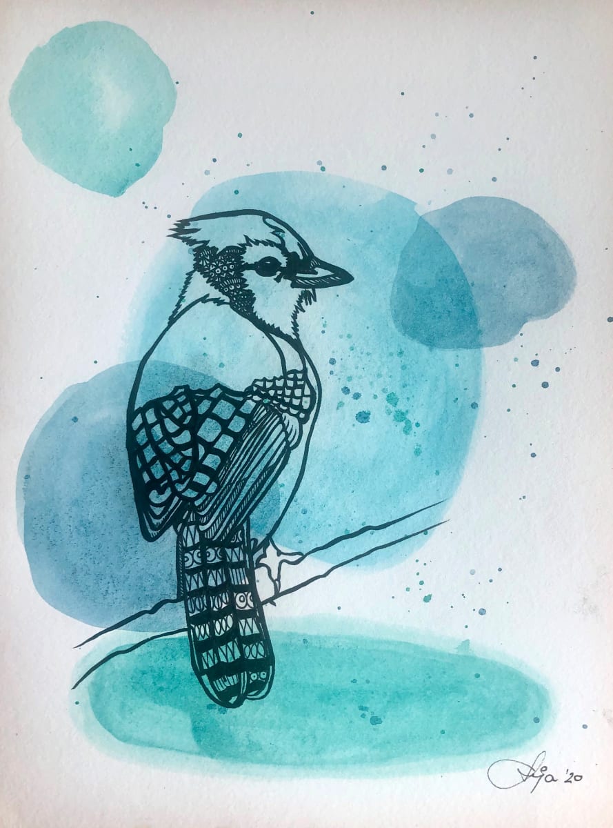 blue jay by Anja Studer 