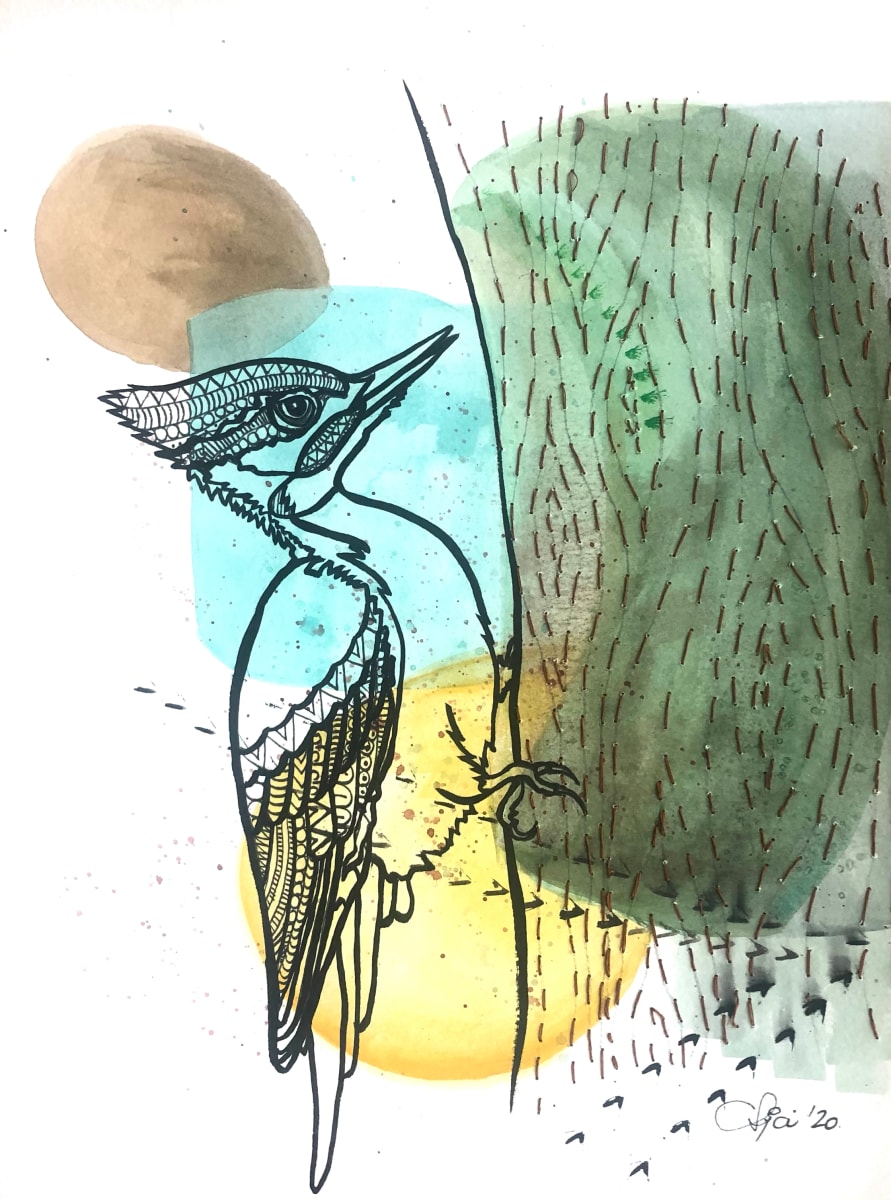 pileated woodpecker, Image 1.