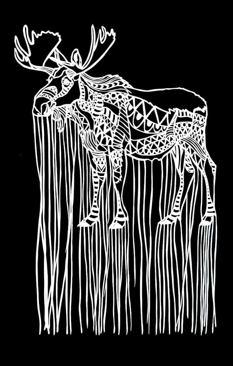 tuktuvak by Anja Studer 