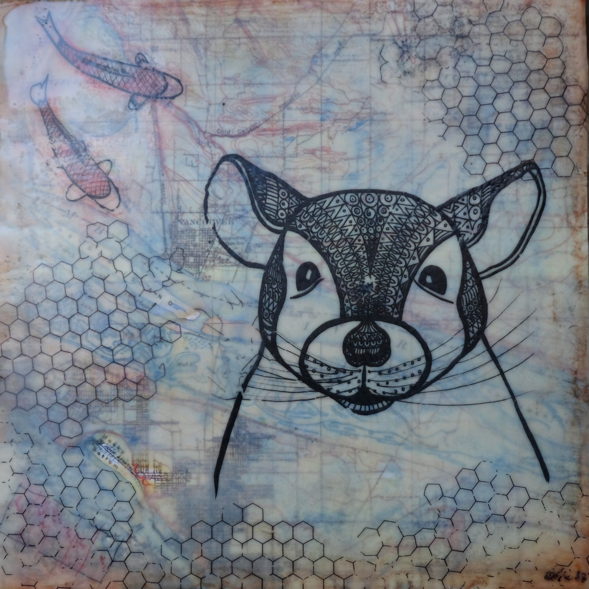 intellectually shy (not for sale) by Anja Studer 