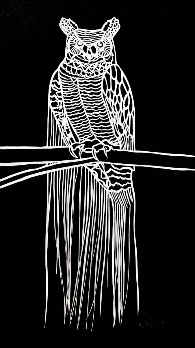 otawage-gookooko'oo by Anja Studer, Image 2.