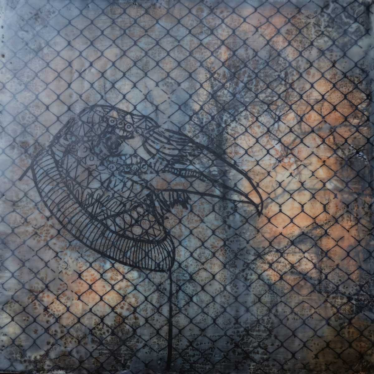 negatively controlled (Not for Sale) by Anja Studer, Image 1.