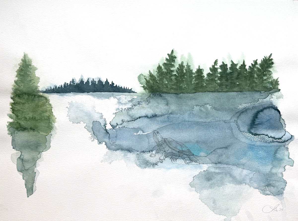 resiliently dissolved by Anja Studer 