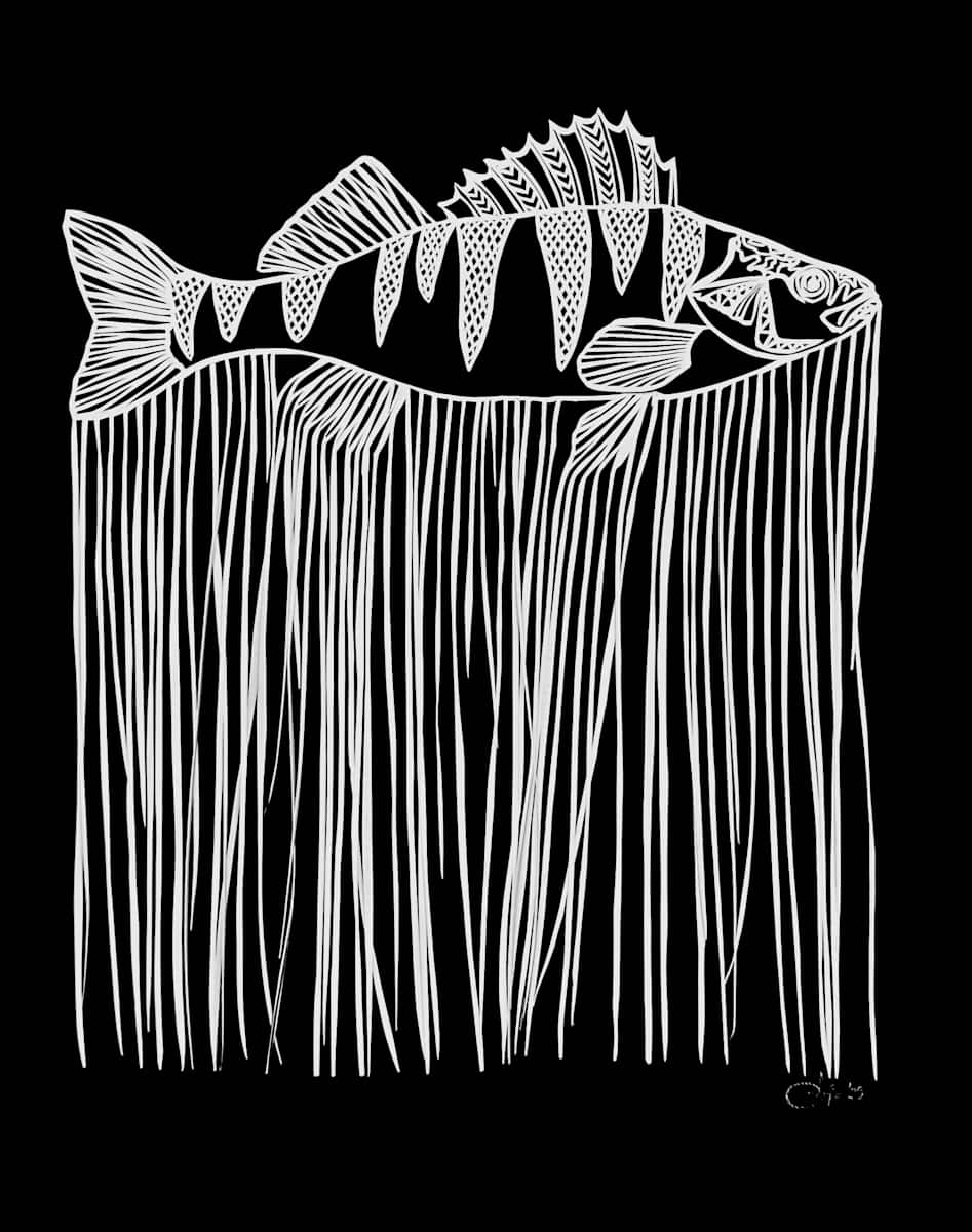 qayalluq by Anja Studer 