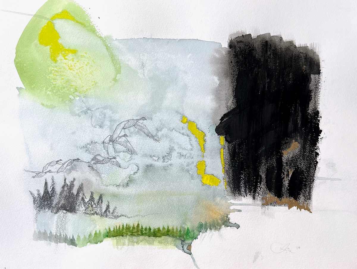 collaboratively vanished by Anja Studer 