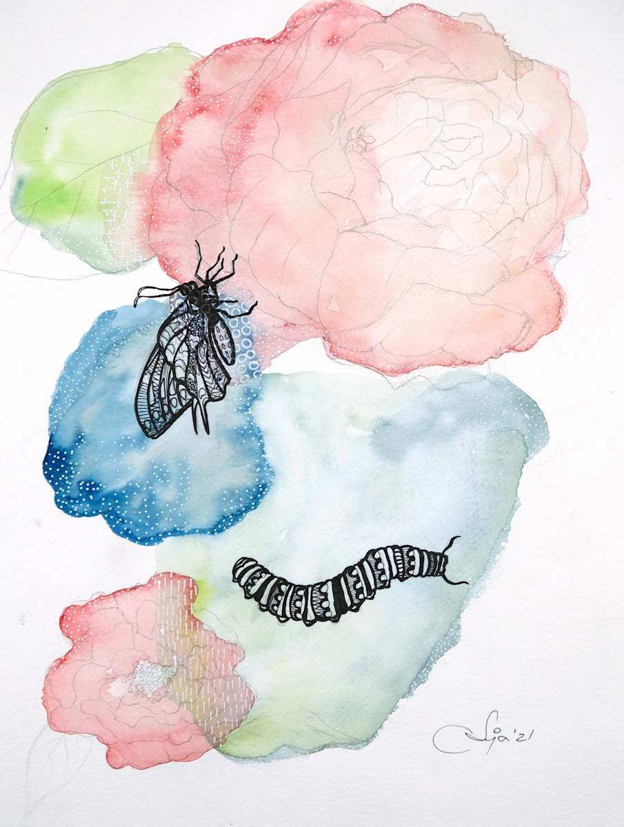 transparently confined, Image 10.