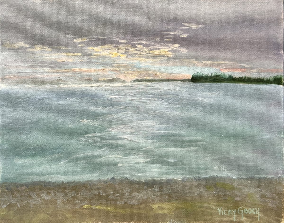 Birch Bay Sunset by Vicky Gooch 