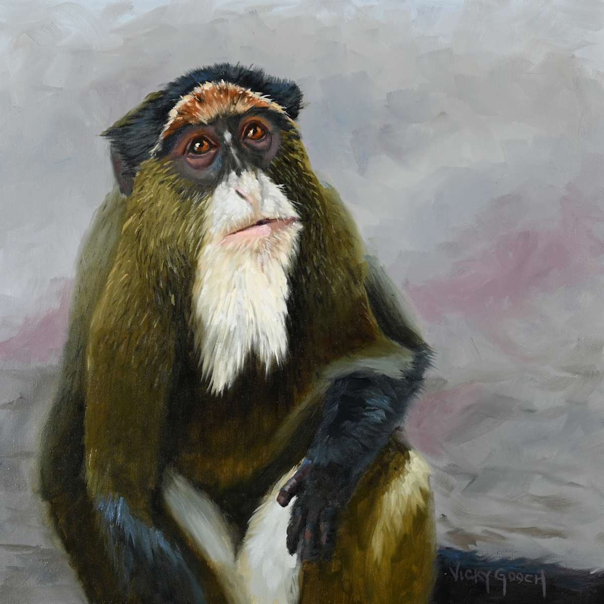 De Brazza's Monkey by Vicky Gooch 