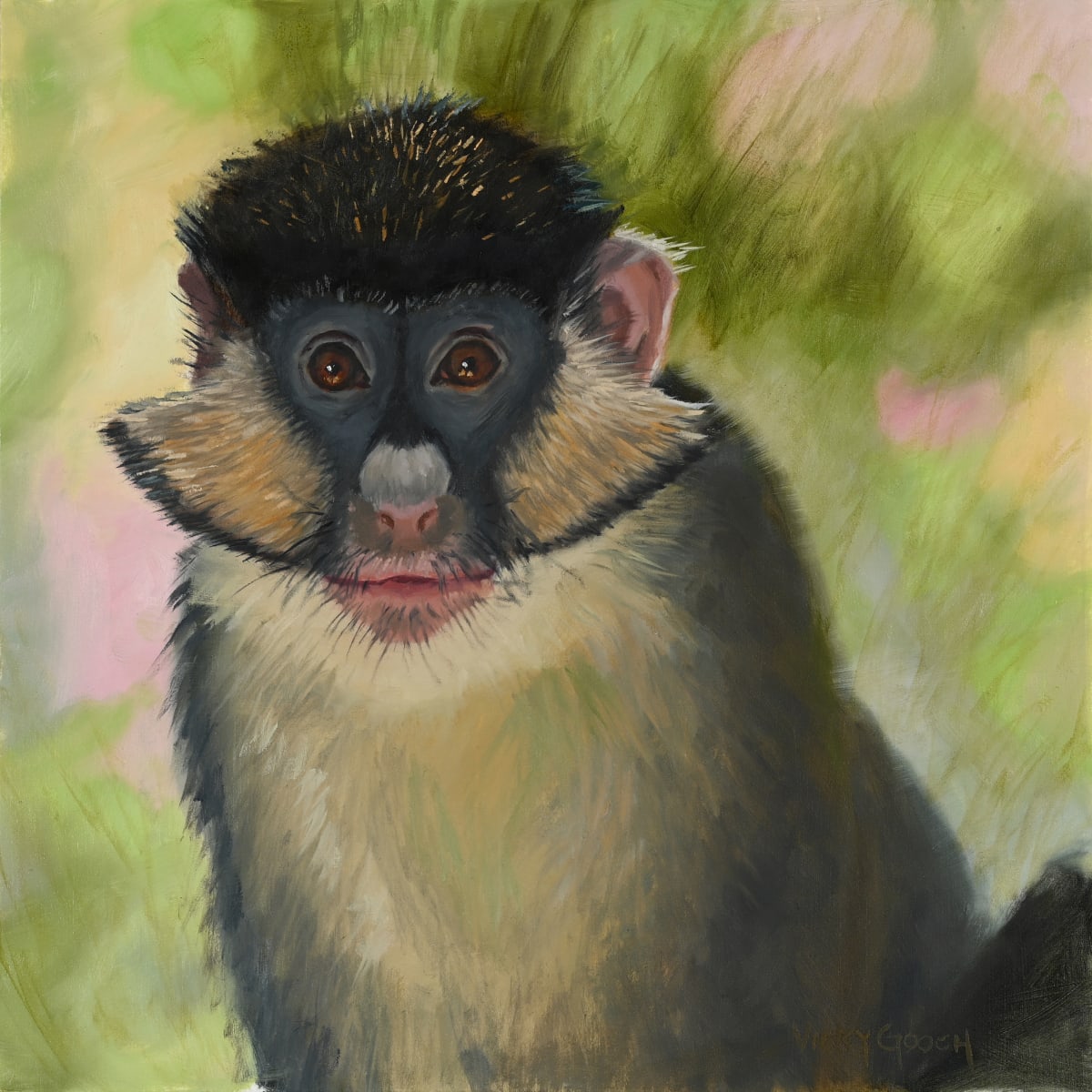 Red Tailed Guenon by Vicky Gooch  Image: Houston Zoo resident Red Tailed Guenon