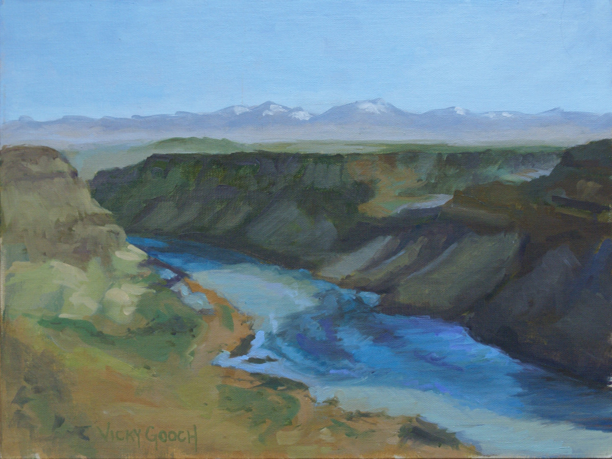 Snake River Canyon by Vicky Gooch 