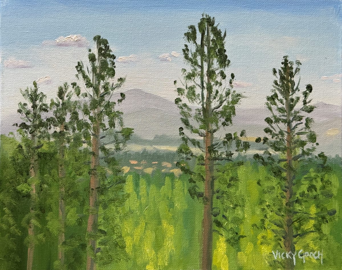 Spokane by Vicky Gooch 