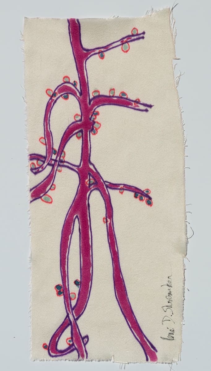 Cyclanthaceae - "Red Stem Plant" - Cyclanthaceae, Image 3.