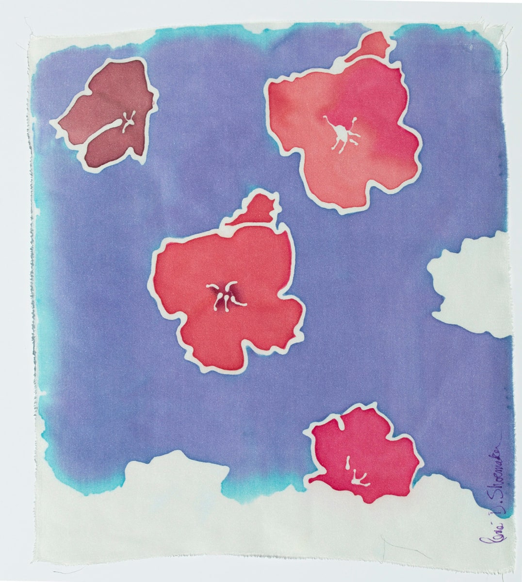 Hibiscus - Hibiscus by René D. Shoemaker, Image 1.