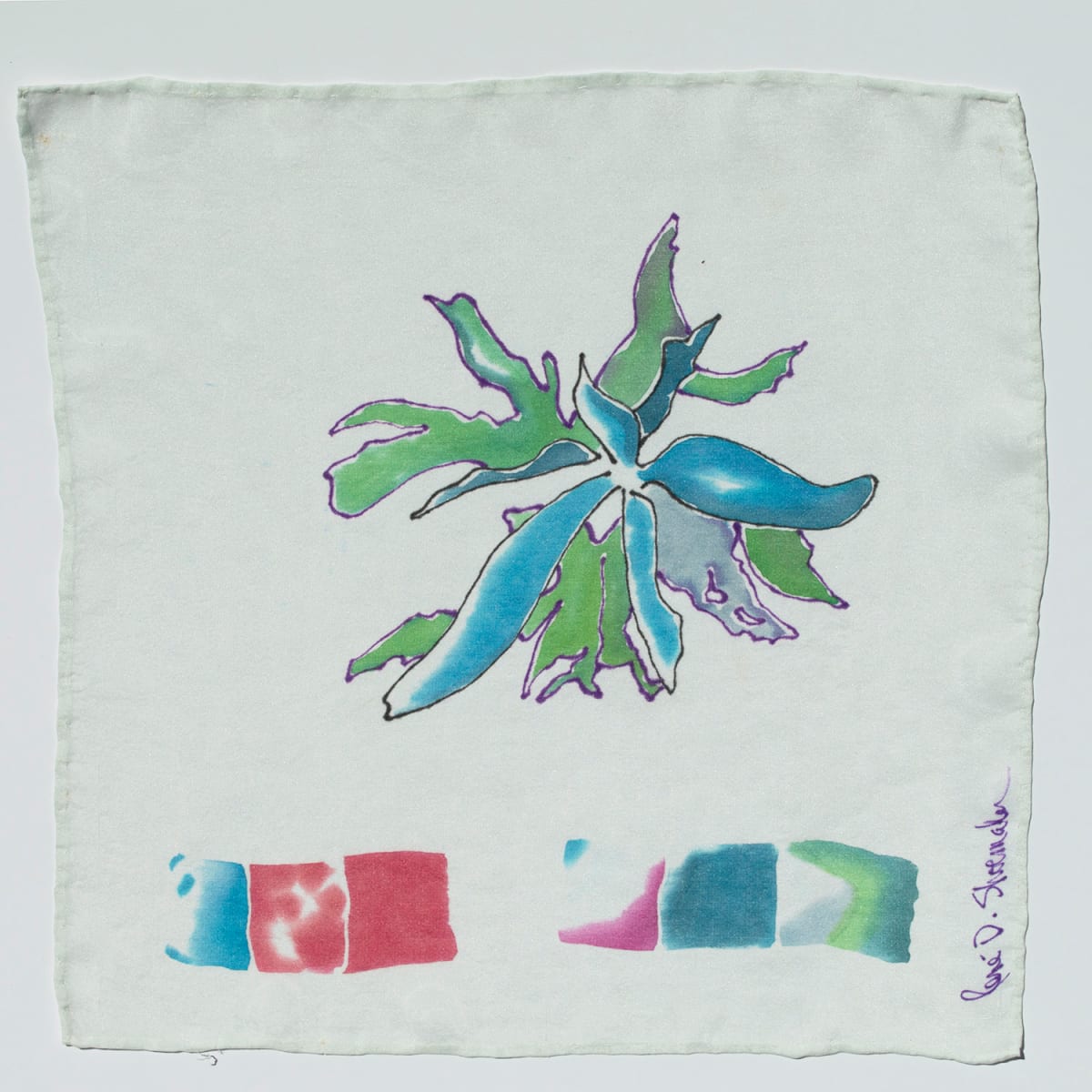 Coffee Arabica - Caféier d'Arabie - Coffea arabica #1 by René D. Shoemaker 