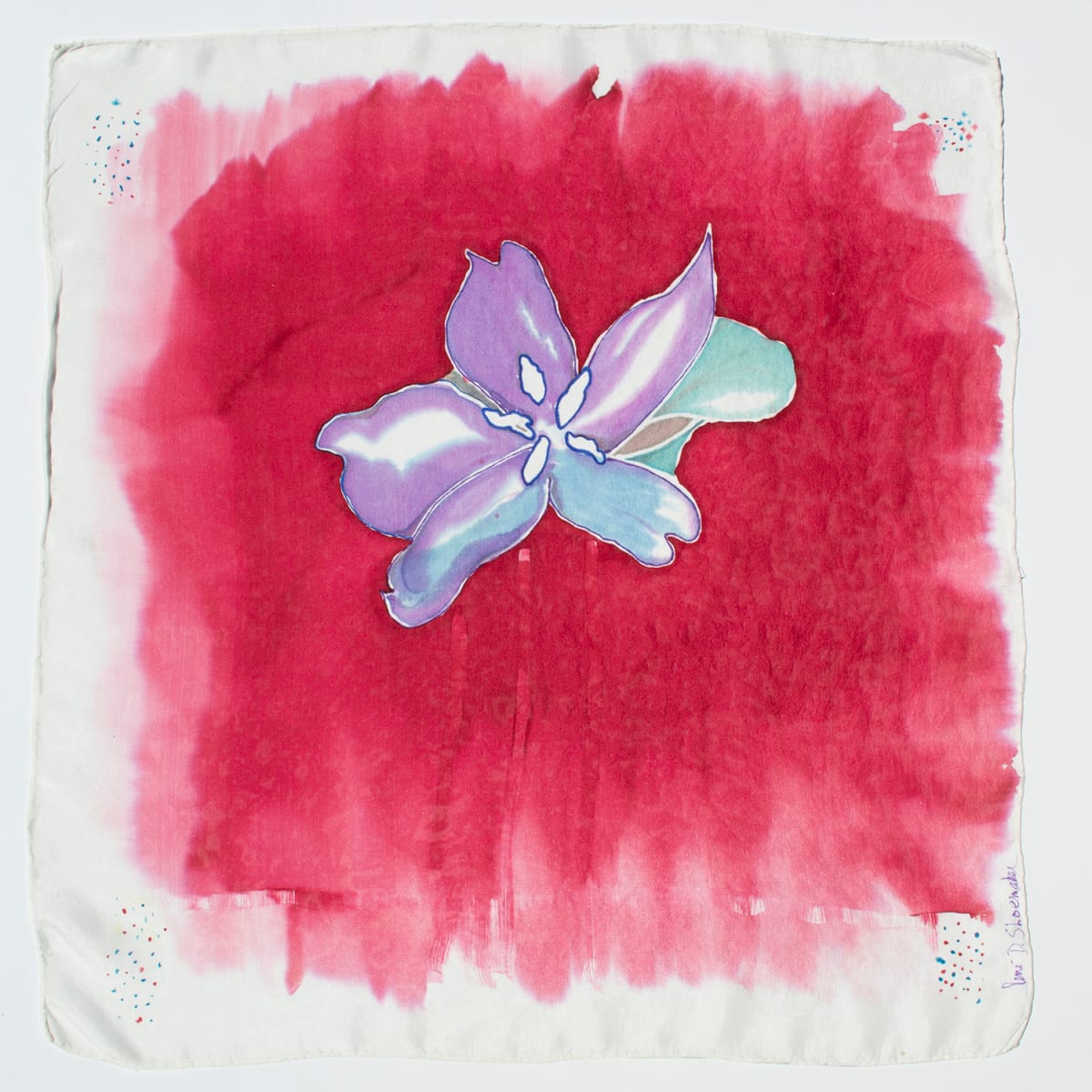 Coffee Arabica - Caféier d'Arabie - Coffea arabica #5 by René D. Shoemaker 