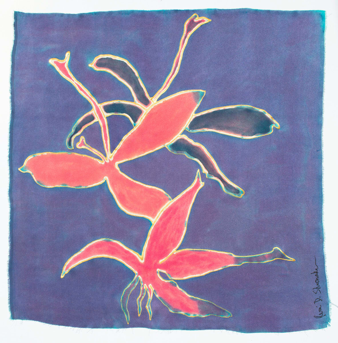 Coffee Arabica - Caféier d'Arabie - Coffea arabica #6 