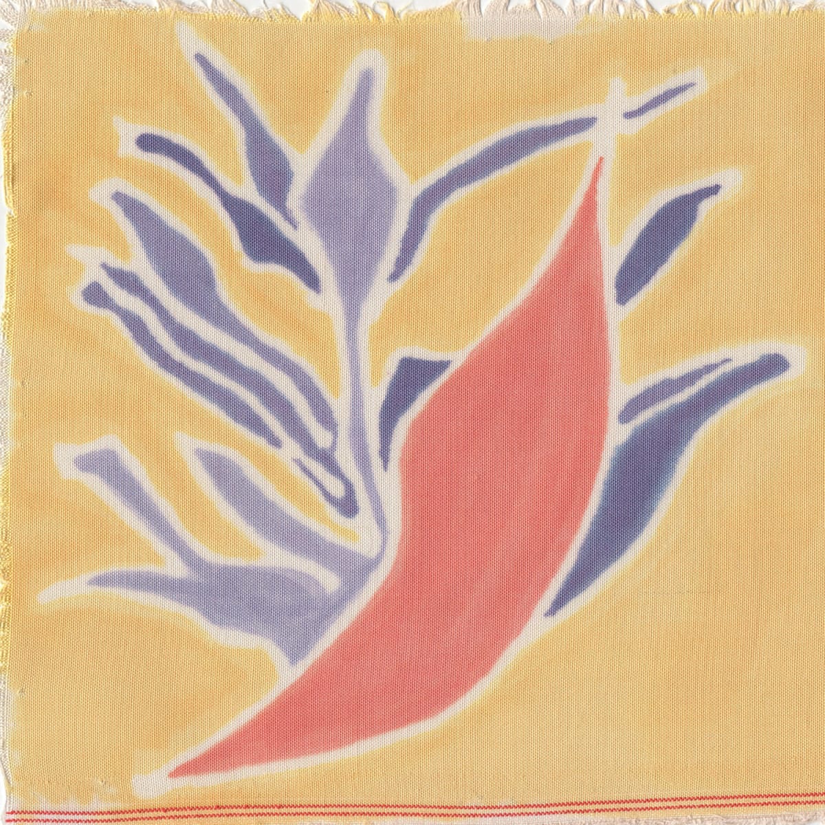 L'oiseau de feu - Fire Bird - Strelitzia reginae, Image 2.