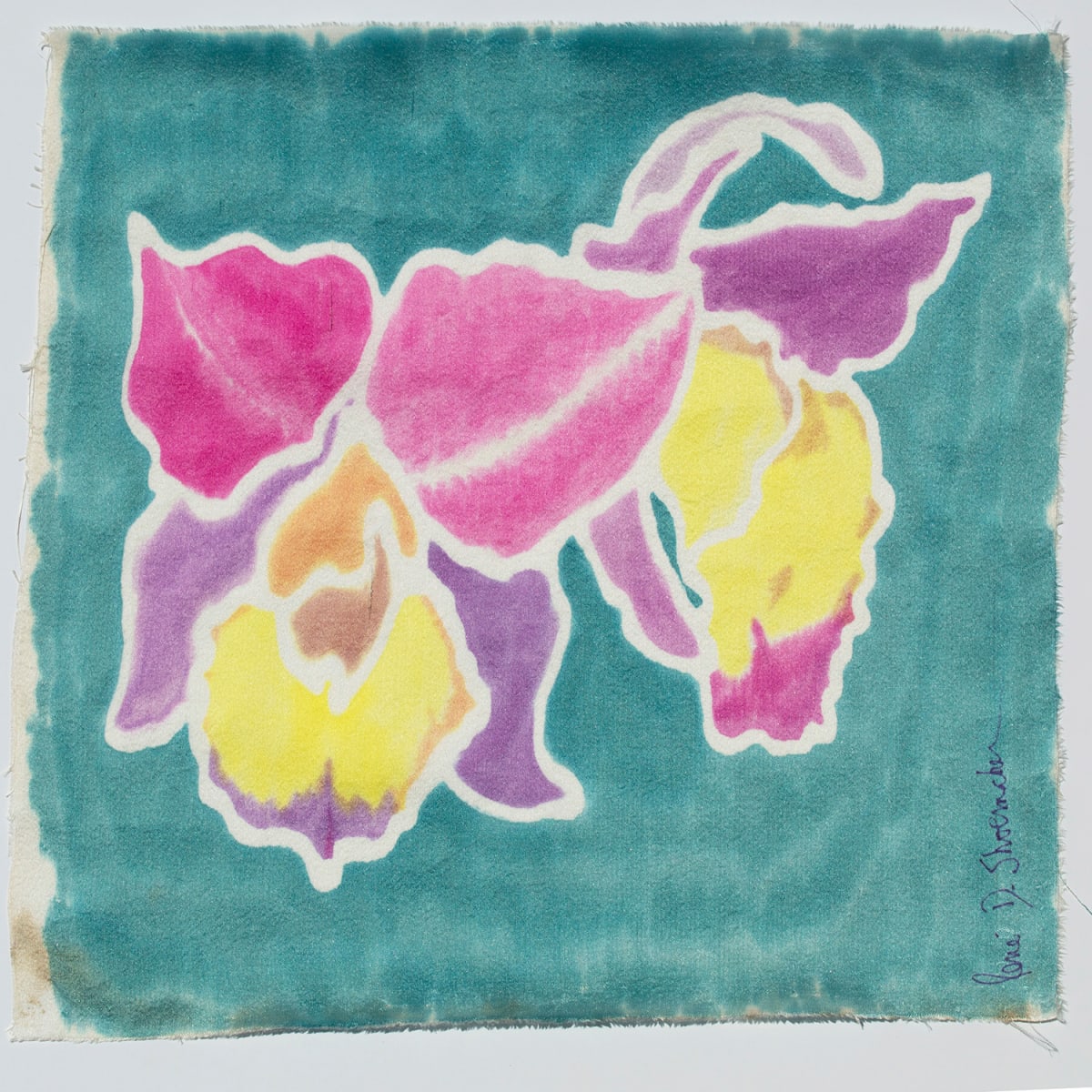 Orchidee - Orchid - Orchidaceae by René D. Shoemaker 