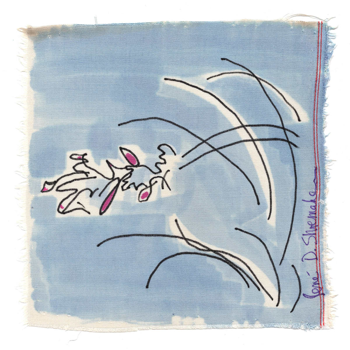 Aechmea Caudata, Image 2.