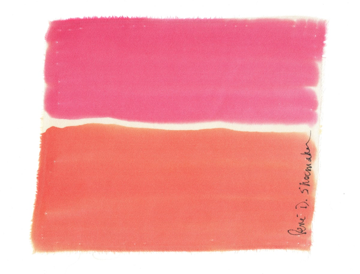 Horizon #6 by René D. Shoemaker 