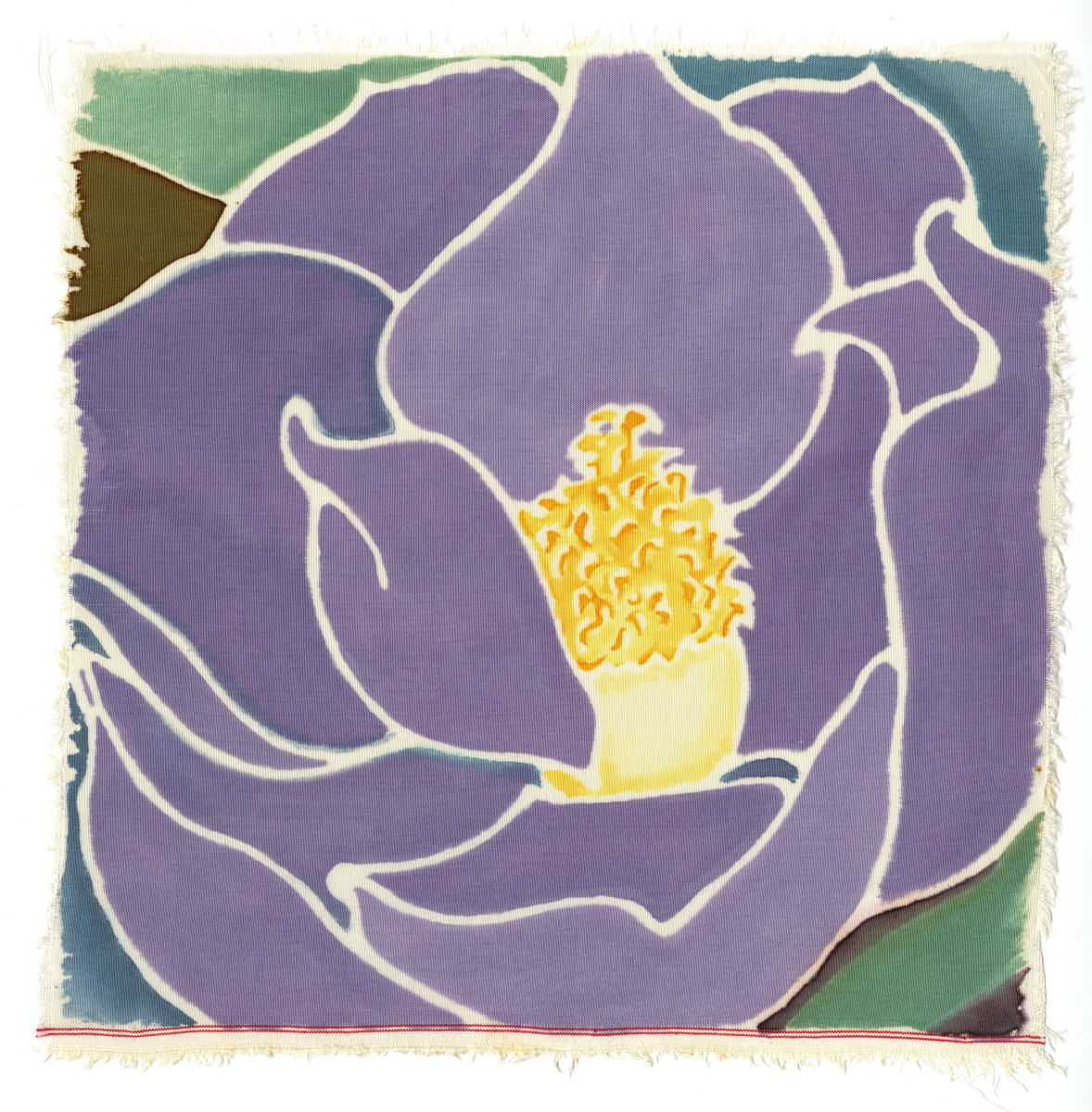 Lavender Magnolia - Magnolia virginiana by René D. Shoemaker 