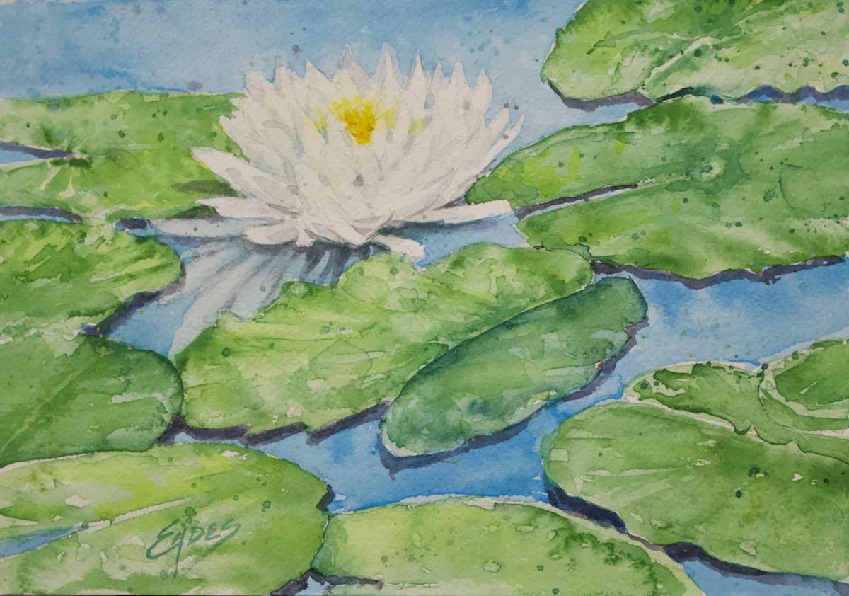 A Lily Among the Pads WC by Linda Eades Blackburn 