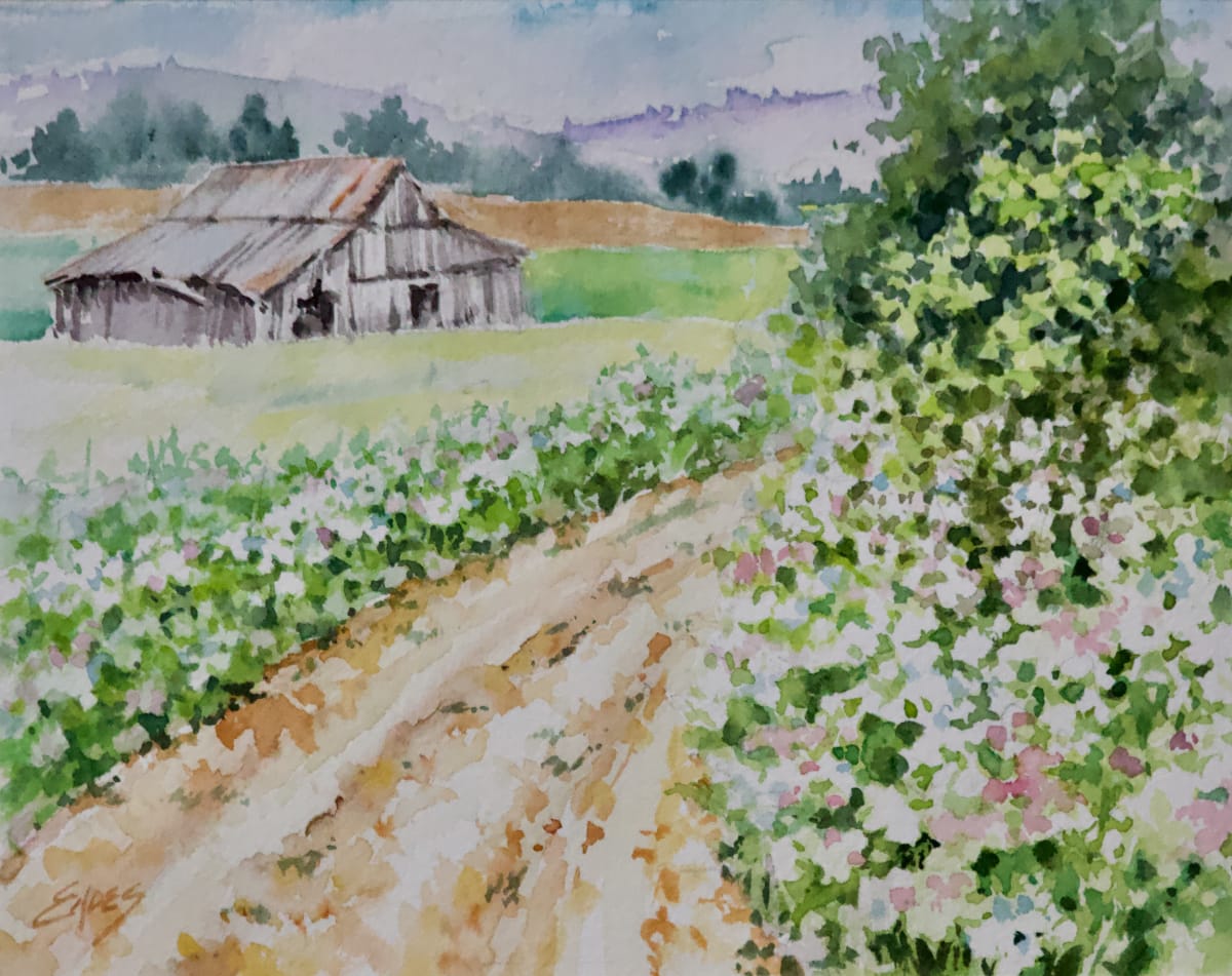 Along the Dirt Road by Linda Eades Blackburn 