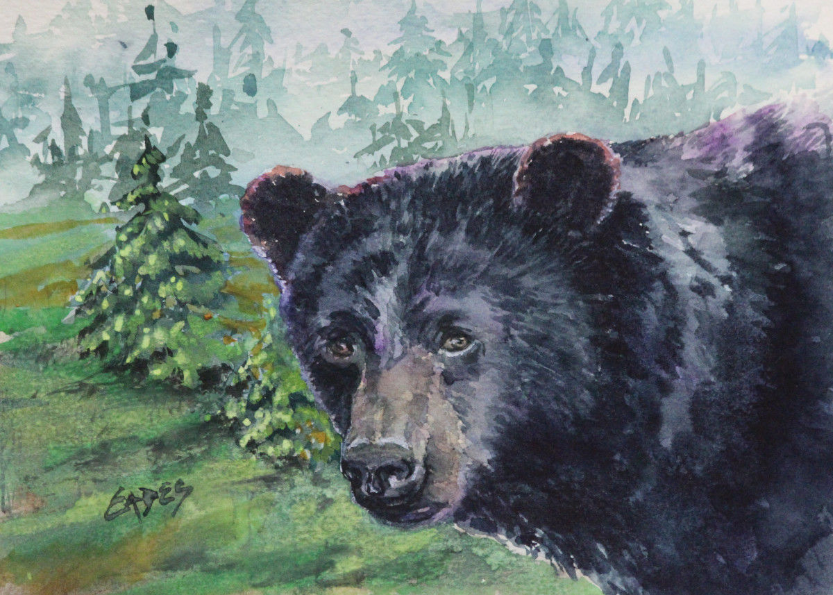 Bear Gaze by Linda Eades Blackburn 