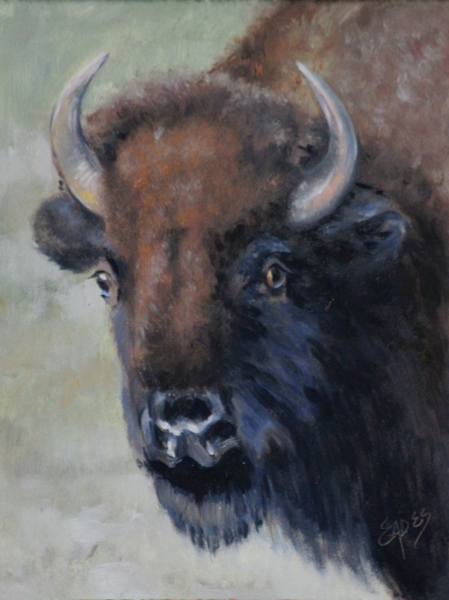 Buffalo Girl by Linda Eades Blackburn 