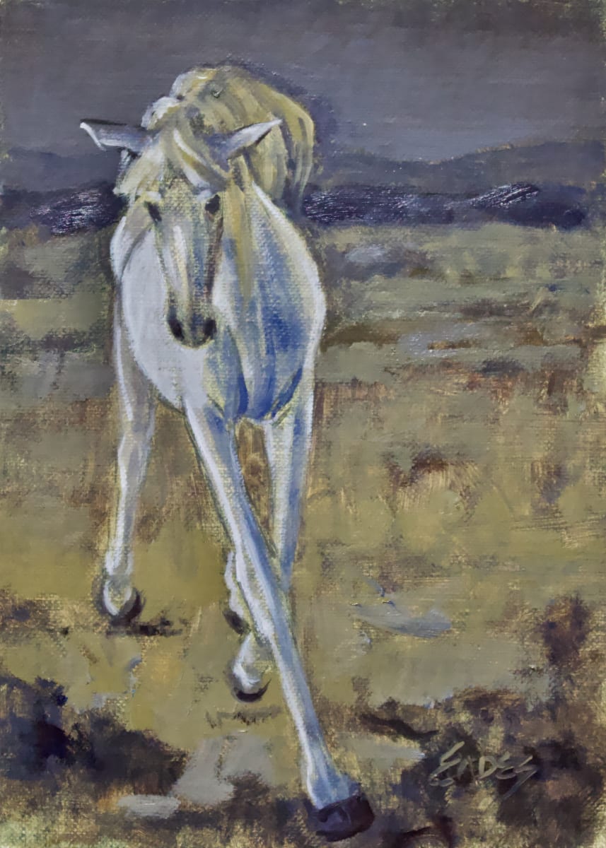 Desert Dance by Linda Eades Blackburn 