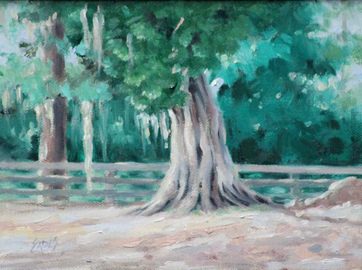Eden's Cedar, Image 1.