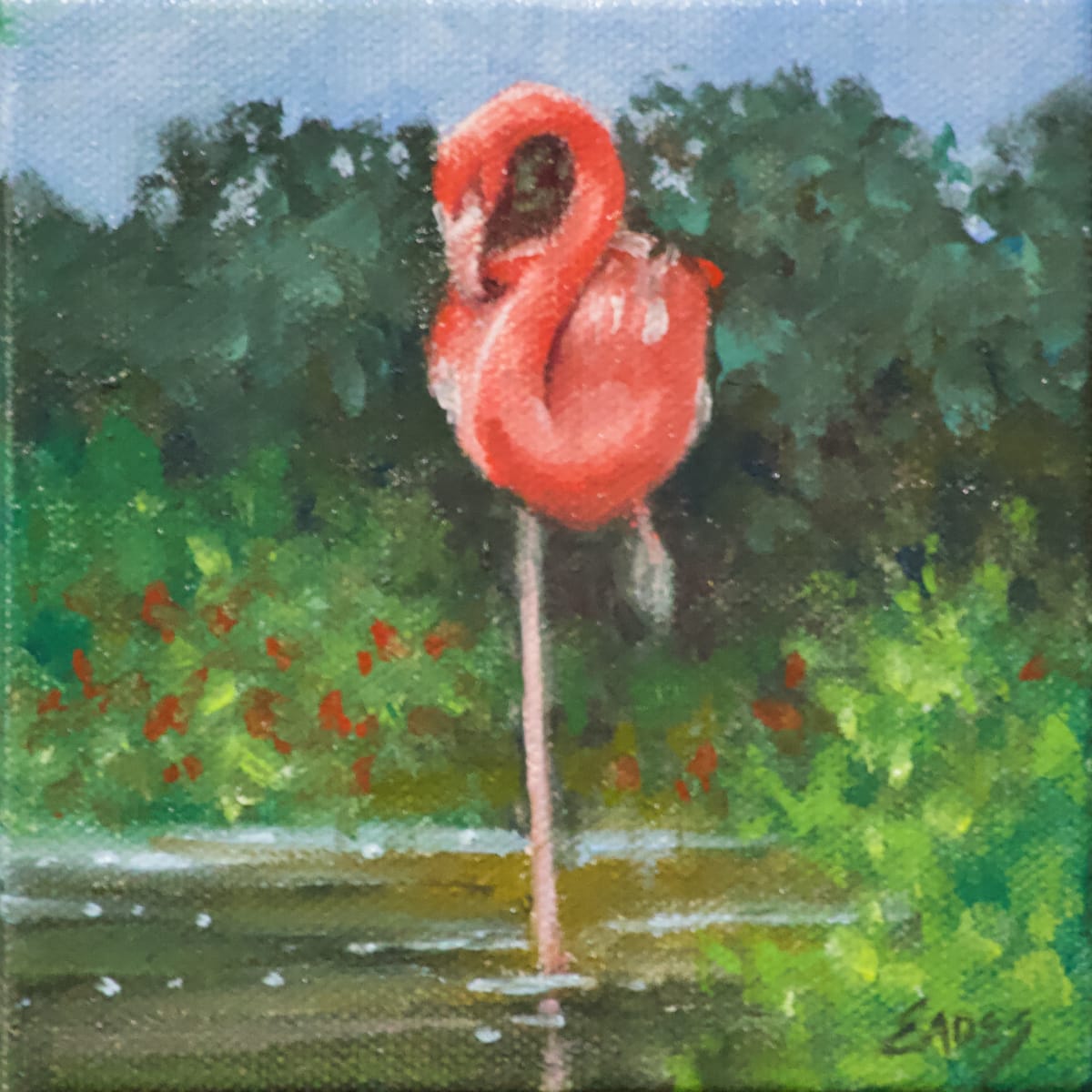 Flamingo Shallows by Linda Eades Blackburn 