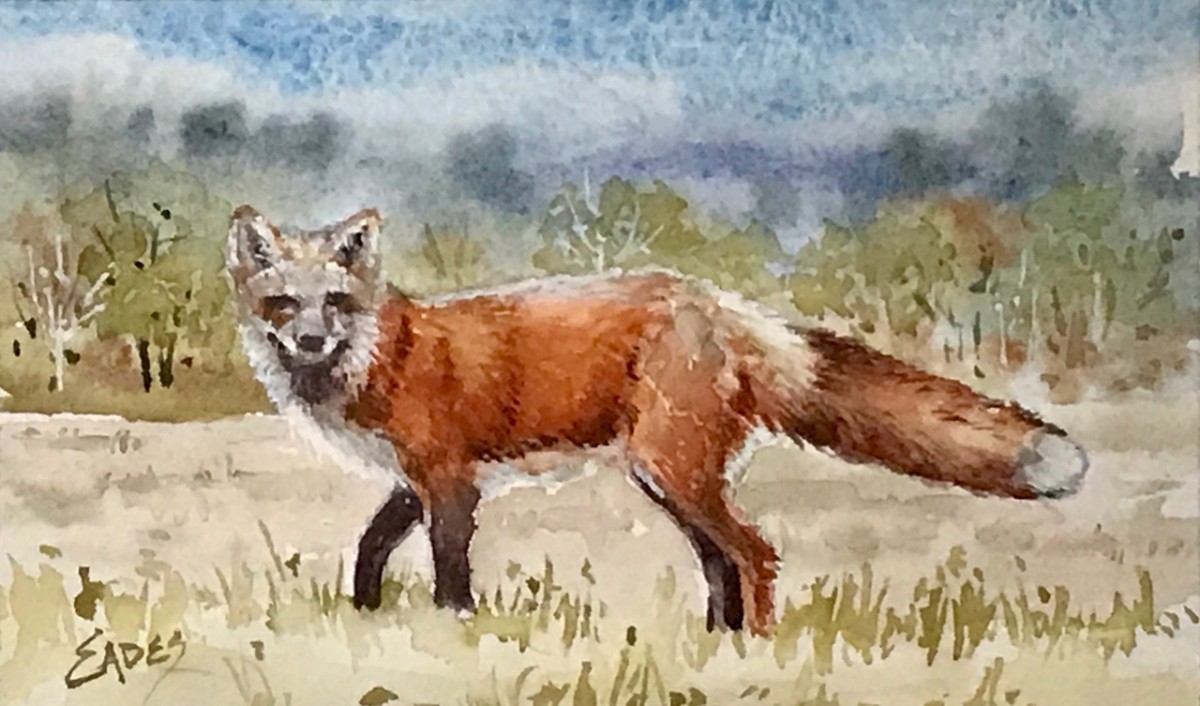 Fox Meadow WC by Linda Eades Blackburn 