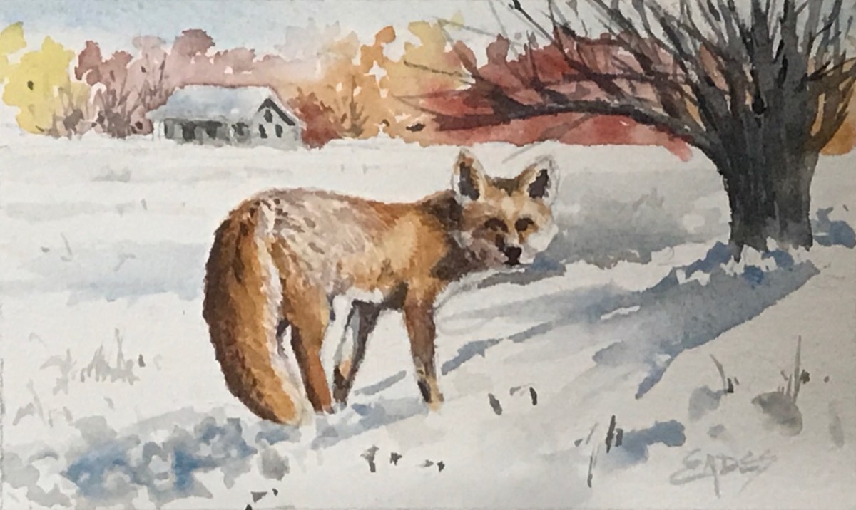 Fox in the Snow by Linda Eades Blackburn 