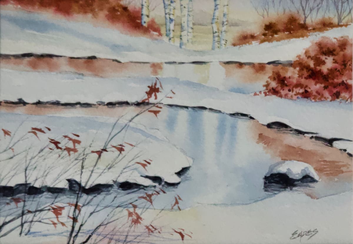 Frozen Reflections by Linda Eades Blackburn 