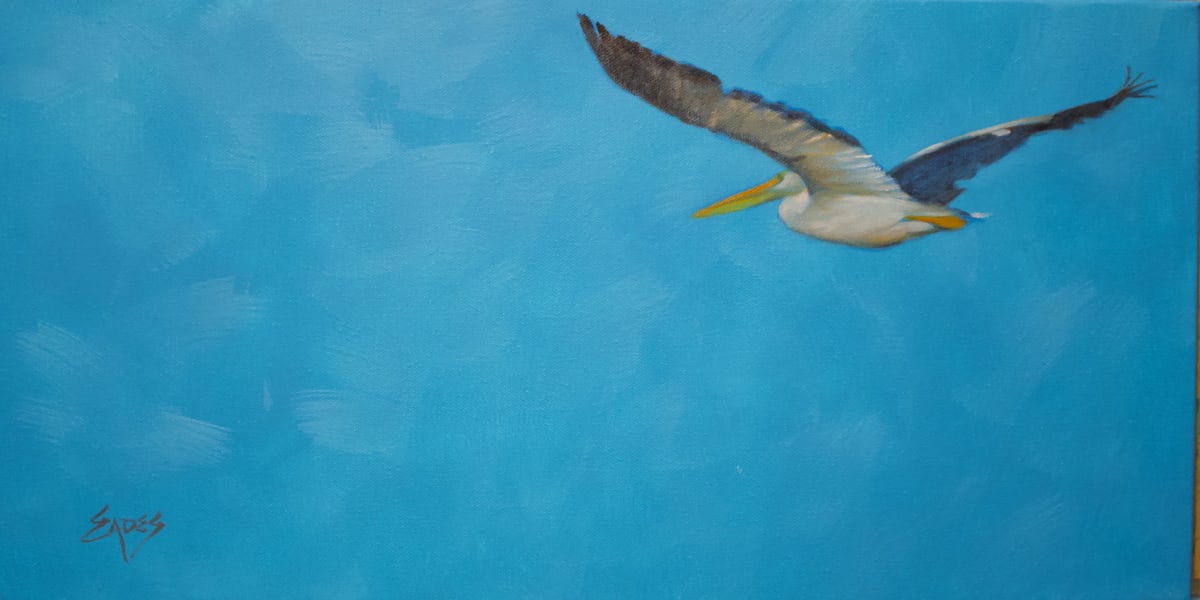 Gliding by Linda Eades Blackburn 