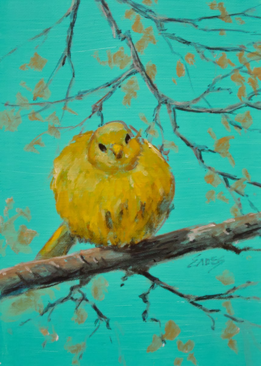 Golden Fluff by Linda Eades Blackburn 