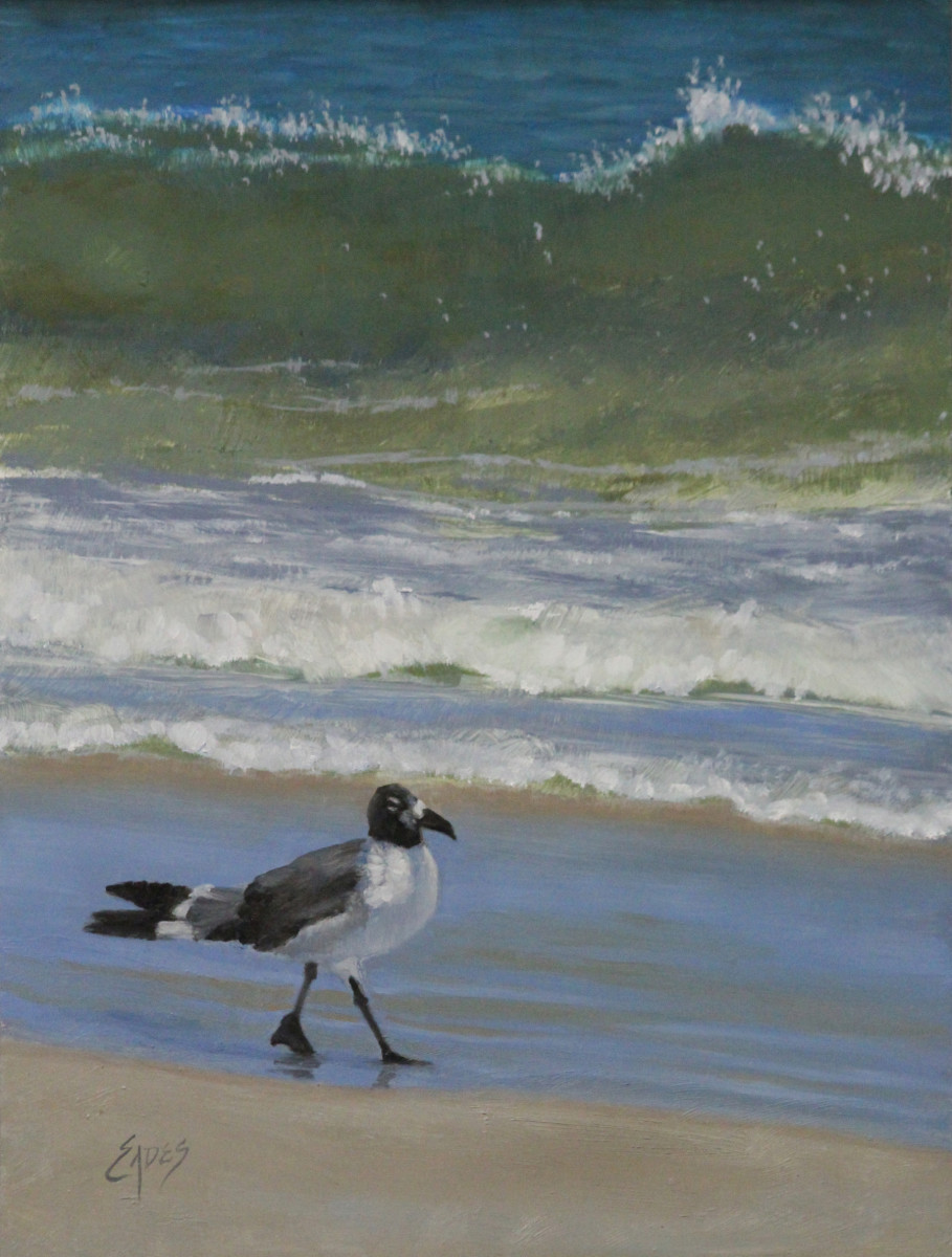 Gull Walk by Linda Eades Blackburn 