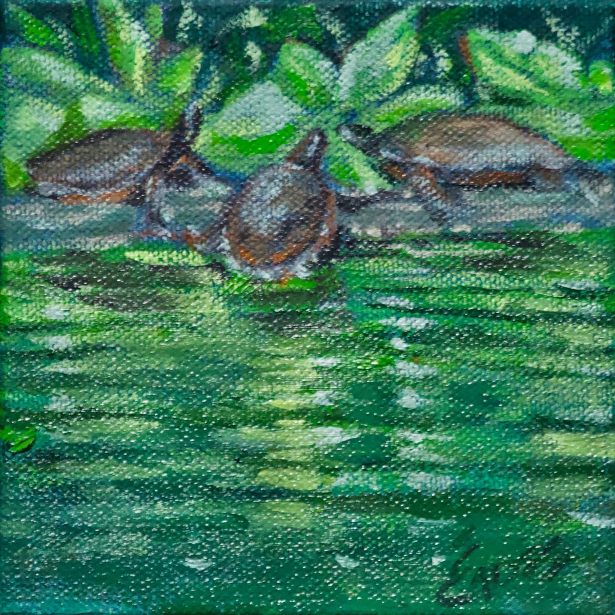 Turtle  Talk by Linda Eades Blackburn 