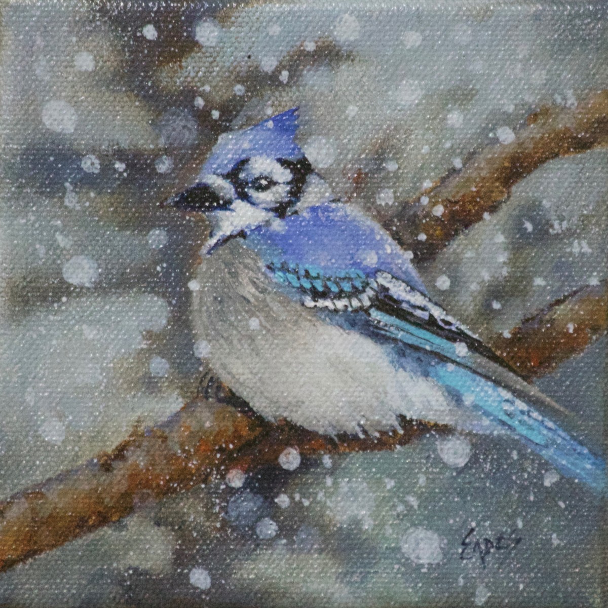 Jay in a Flurry by Linda Eades Blackburn 